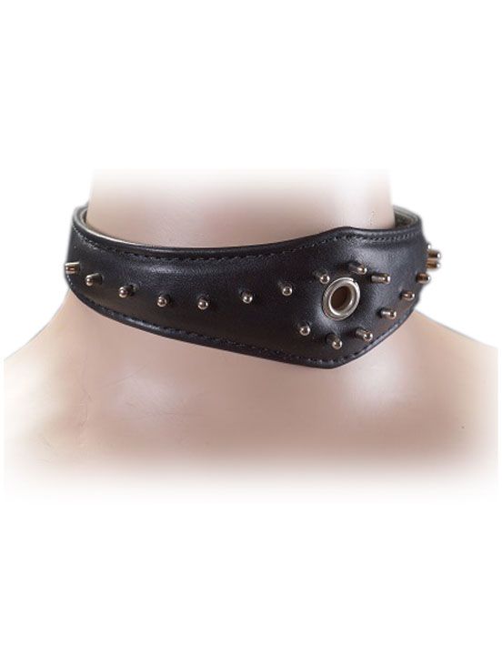 Ошейник с люверсом, размер универсальный