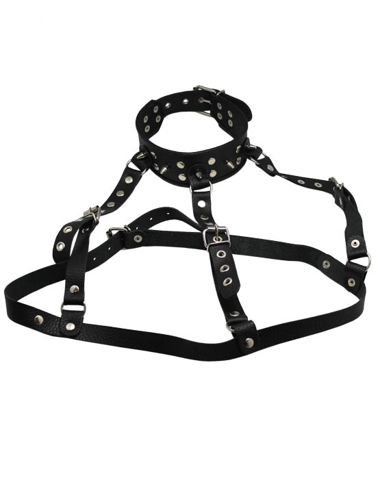 Ошейник-сбруя, чёрный