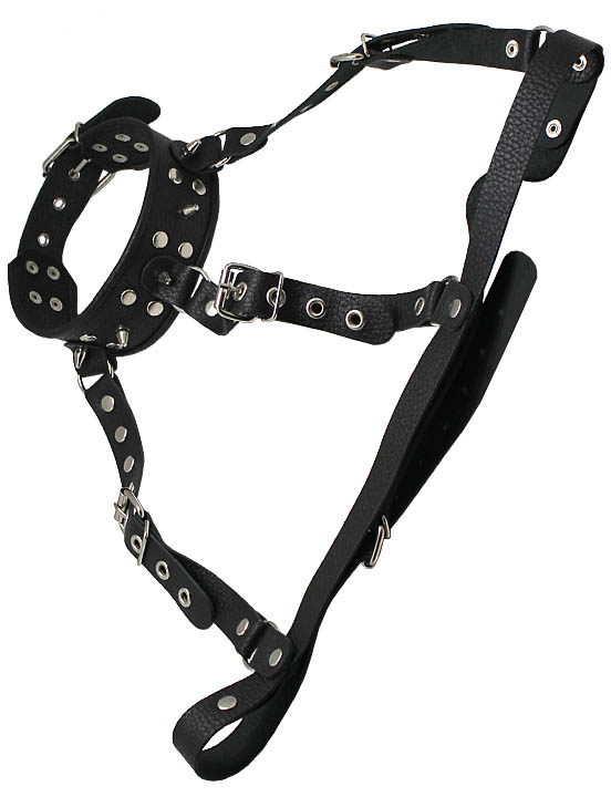 Ошейник-сбруя, чёрный