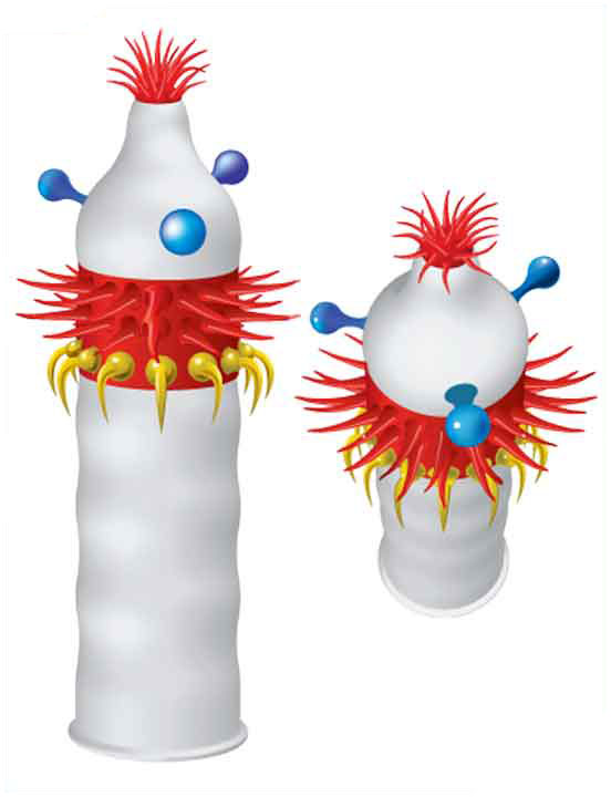 Презервативы LUXE Maxima «Аризонский Бульдог», 1 шт.